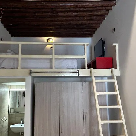 Elegant In Biennale By Bricola